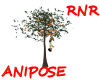 ~RnR~NBC ANIKISS TREE