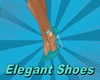 ~R~ Elegant Shoes