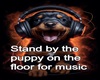 Dog picture