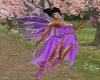Fairy Avi w/Lilac Rose