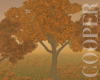 !A autumn trees