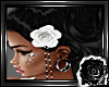 Hair Rose L White