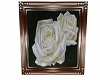 White Roses Pic