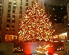 rockefeller tree