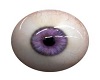 MI Purple Glass Eyes