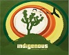 Indigenous poster