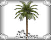 :L:Palm Tree Amated