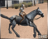 !T! Western Horse 2
