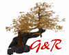 G&R Tree & Rock poses