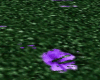 DJ New Moving Grass