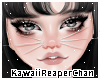 K| Bun Whiskers Silver