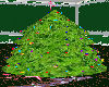 ~NJ~Animated Tree