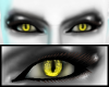 Satan's Yellow Eyes