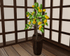 Lemons Tree Pot