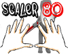 scaler 80