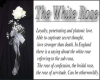what white roses mean