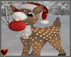 Adorable Xmasdeer