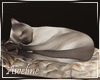 Winter S. Sleeping Cat