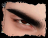 Soft Brown Gaze