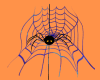 Animated Spider&Web