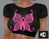 *KC* BCA Butterfly