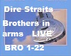 Dire Straits Brothers in