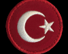 Türk Bayraklı Bere 2