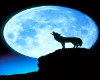 Full Moon Howling Wolf