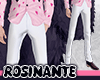 ROSINANTE | Pants