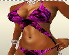 Bikini Purple Passion