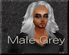 Male Grey