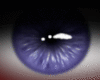 Purple Eyes M
