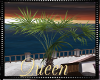 !Q Ocean Potted  Palm