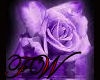 Purple Rose Rules