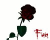 FUN Dark red rose