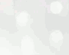 AY | Holi Lehenga