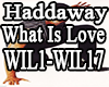 QSJ-Haddaway WhatIsLove
