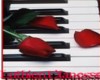 Rose Petals & Piano Keys