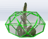 greenhouse cacti