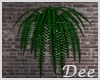 Salon Wall Plant