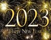 2023 Happy New Year Dome