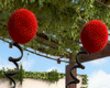 ladybug antenas