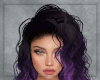 Curly Purple Frost