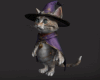 DER: Cat Wizard