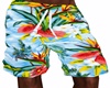 Hawaiian Short 1
