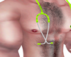 HAIRY MUSCLE