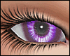Violet Glass Eyes Unisex