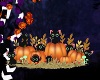 !T! Add On | Hallow Cats