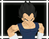 Vegeta Outfit