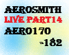 Aerosmith live14